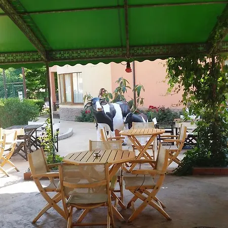 شقة فندقية Apartcomplex Panorama Dreams سفيتي فلاس